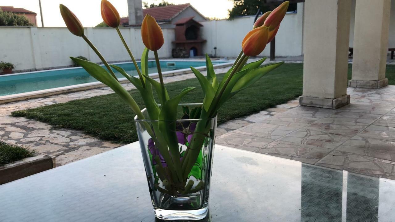 Villa Pistan Murvica  Dış mekan fotoğraf